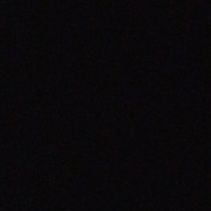 Meet your Posher, Carly